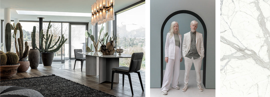 Wings Dining table