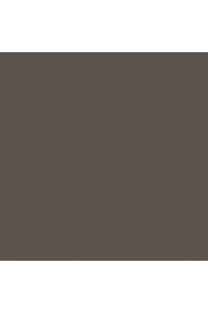 Light Brown Leather Lounge Chair