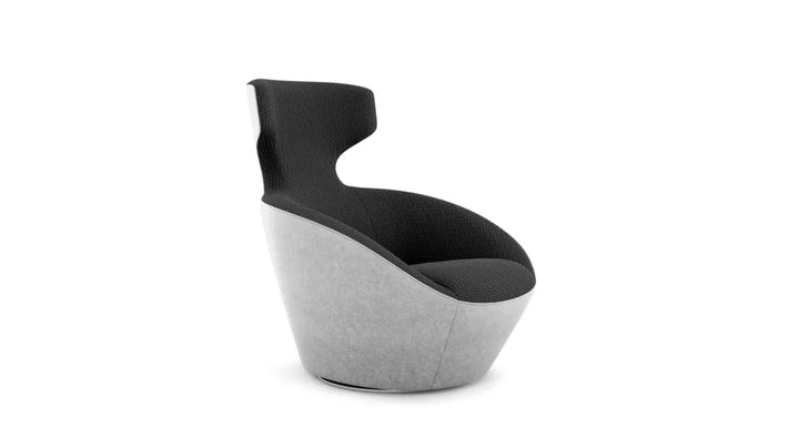 edito lounge