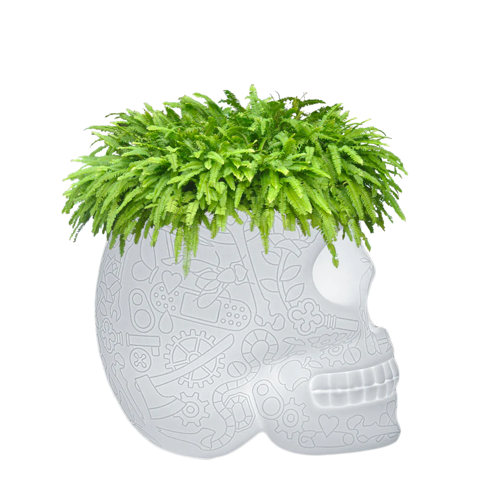 MEXICO CHAMPAGNE COOLER & PLANT LAMP RECHARGEABLE LED