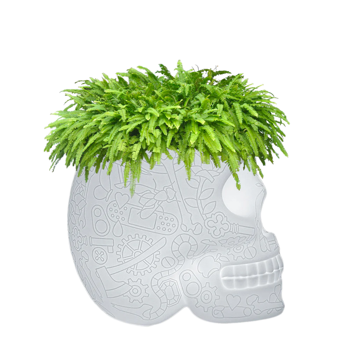 MEXICO CHAMPAGNE COOLER & PLANT LAMP RECHARGEABLE LED