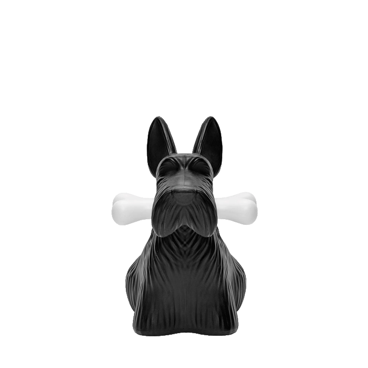 SCOTTIE