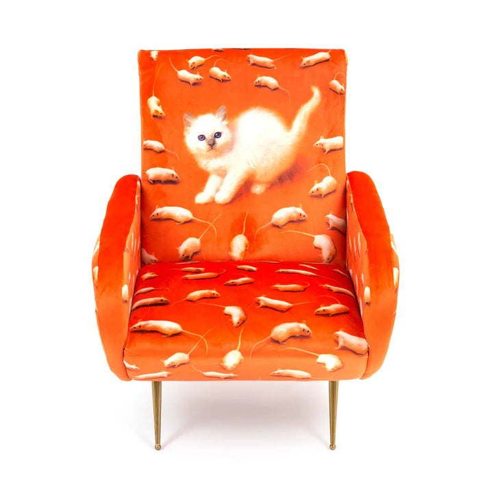 Armchair Kitten