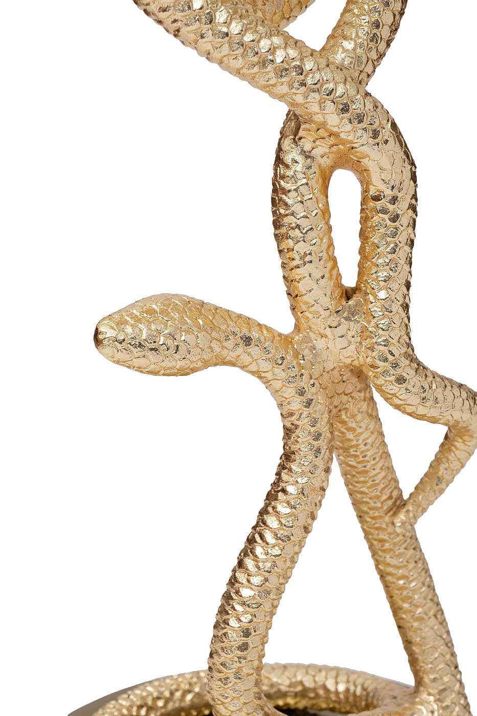SERPIENTE GD