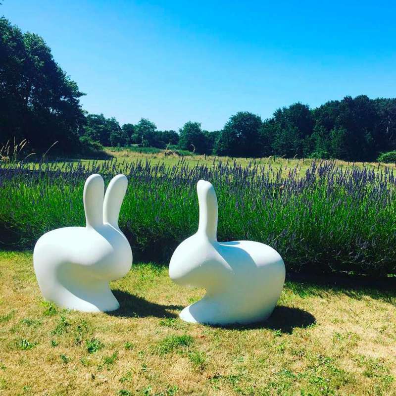 RABBIT CHAIR